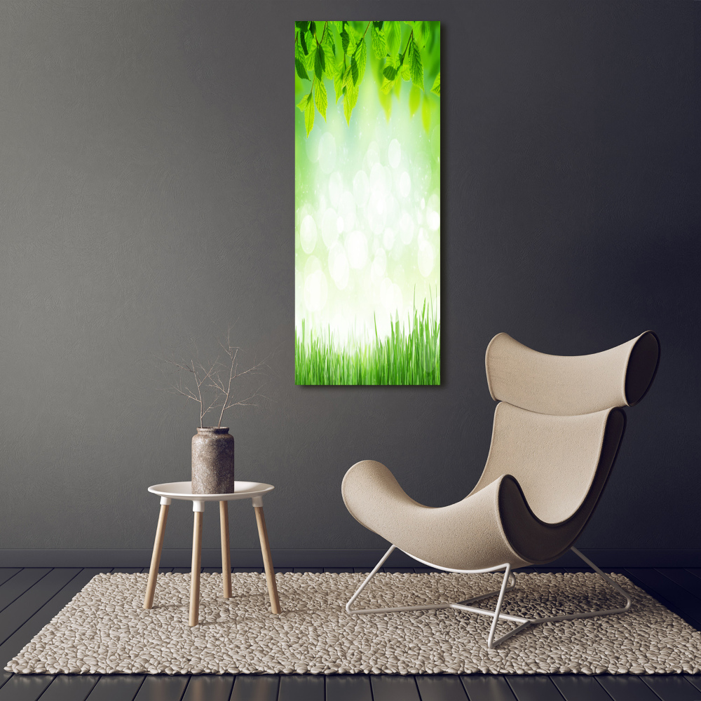 Tableau photo sur toile Feuilles et herbe