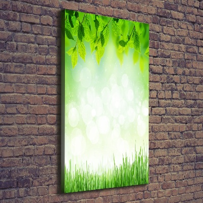 Tableau photo sur toile Feuilles et herbe