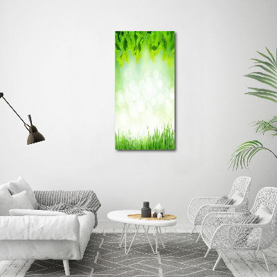 Tableau photo sur toile Feuilles et herbe