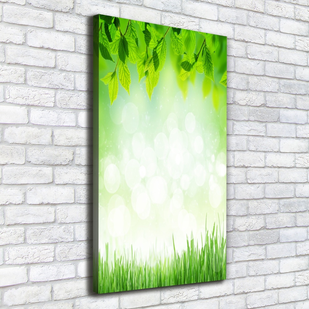 Tableau photo sur toile Feuilles et herbe