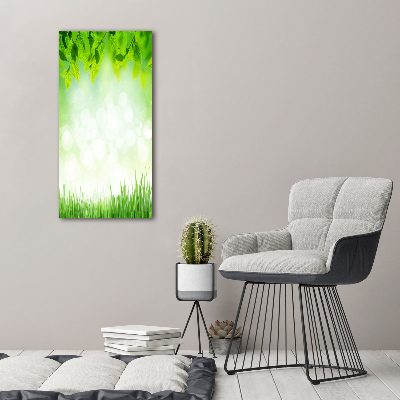 Tableau photo sur toile Feuilles et herbe