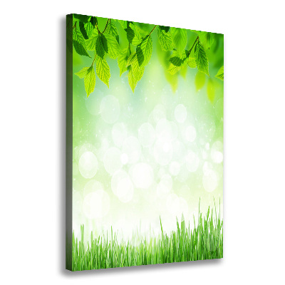 Tableau photo sur toile Feuilles et herbe