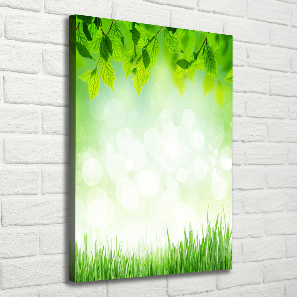 Tableau photo sur toile Feuilles et herbe