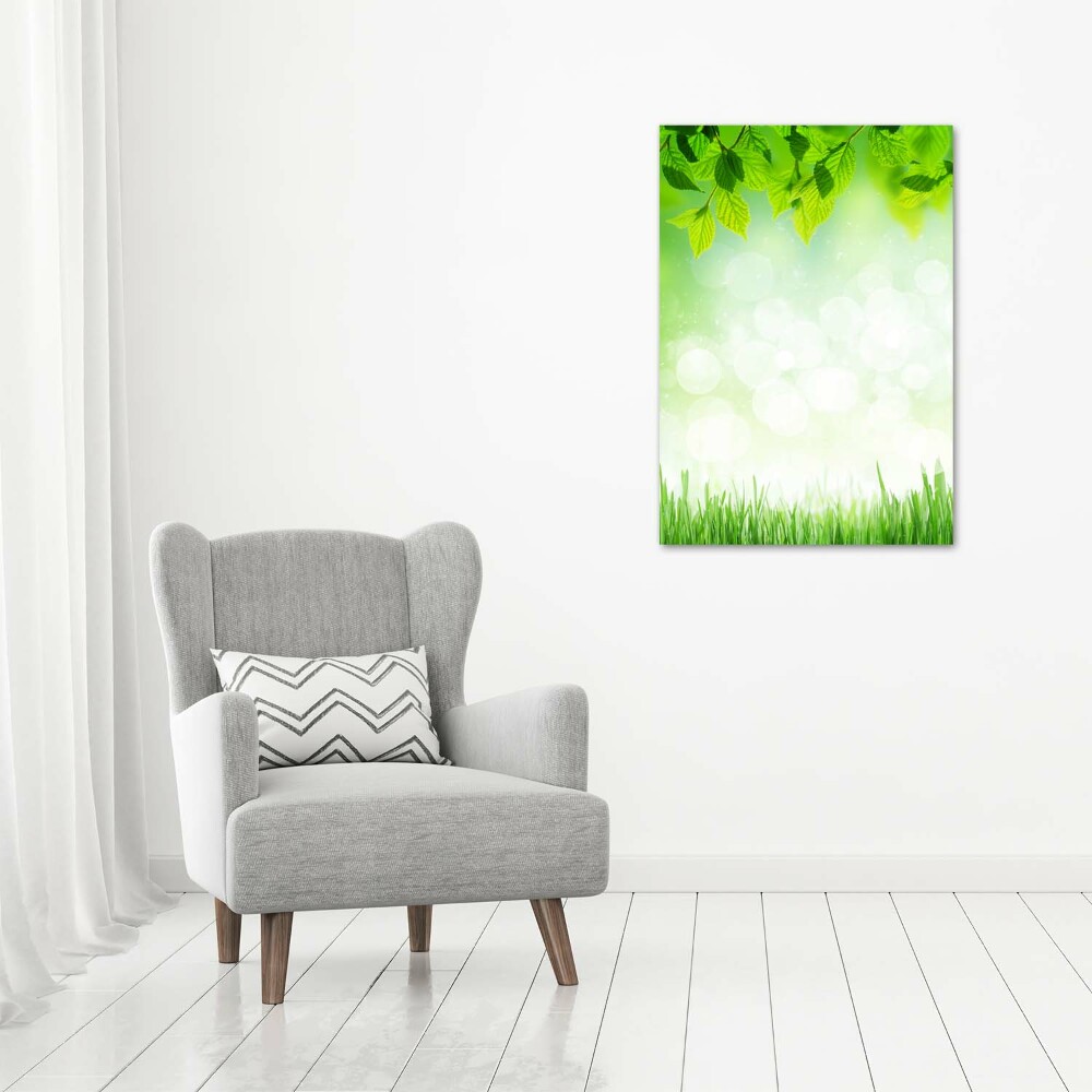 Tableau photo sur toile Feuilles et herbe