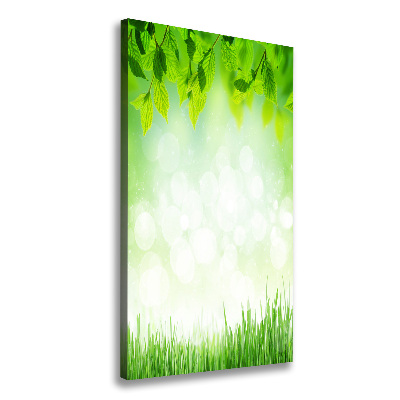 Tableau photo sur toile Feuilles et herbe