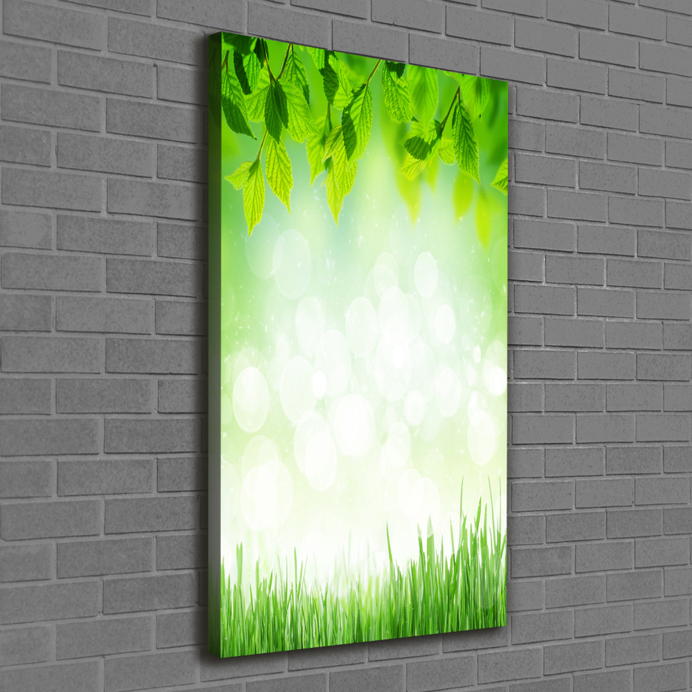 Tableau photo sur toile Feuilles et herbe