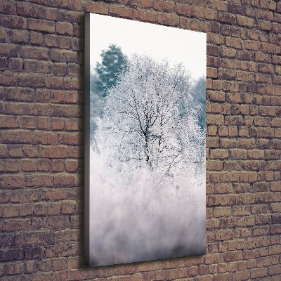 Tableau sur toile Forêt en hiver