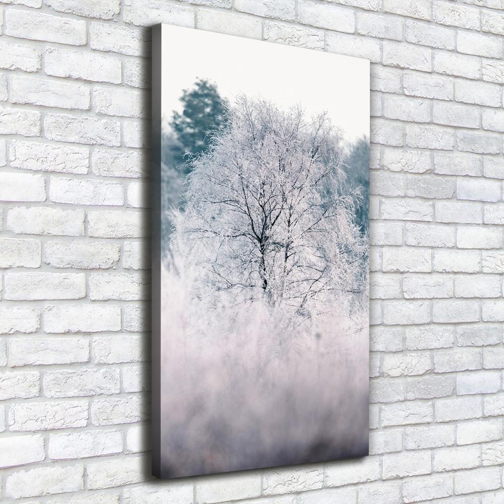 Tableau sur toile Forêt en hiver