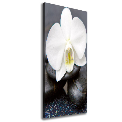 Tableau photo sur toile Orchidée et pierres