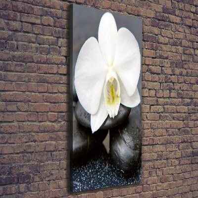 Tableau photo sur toile Orchidée et pierres