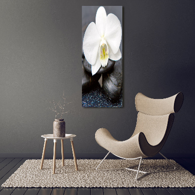 Tableau photo sur toile Orchidée et pierres