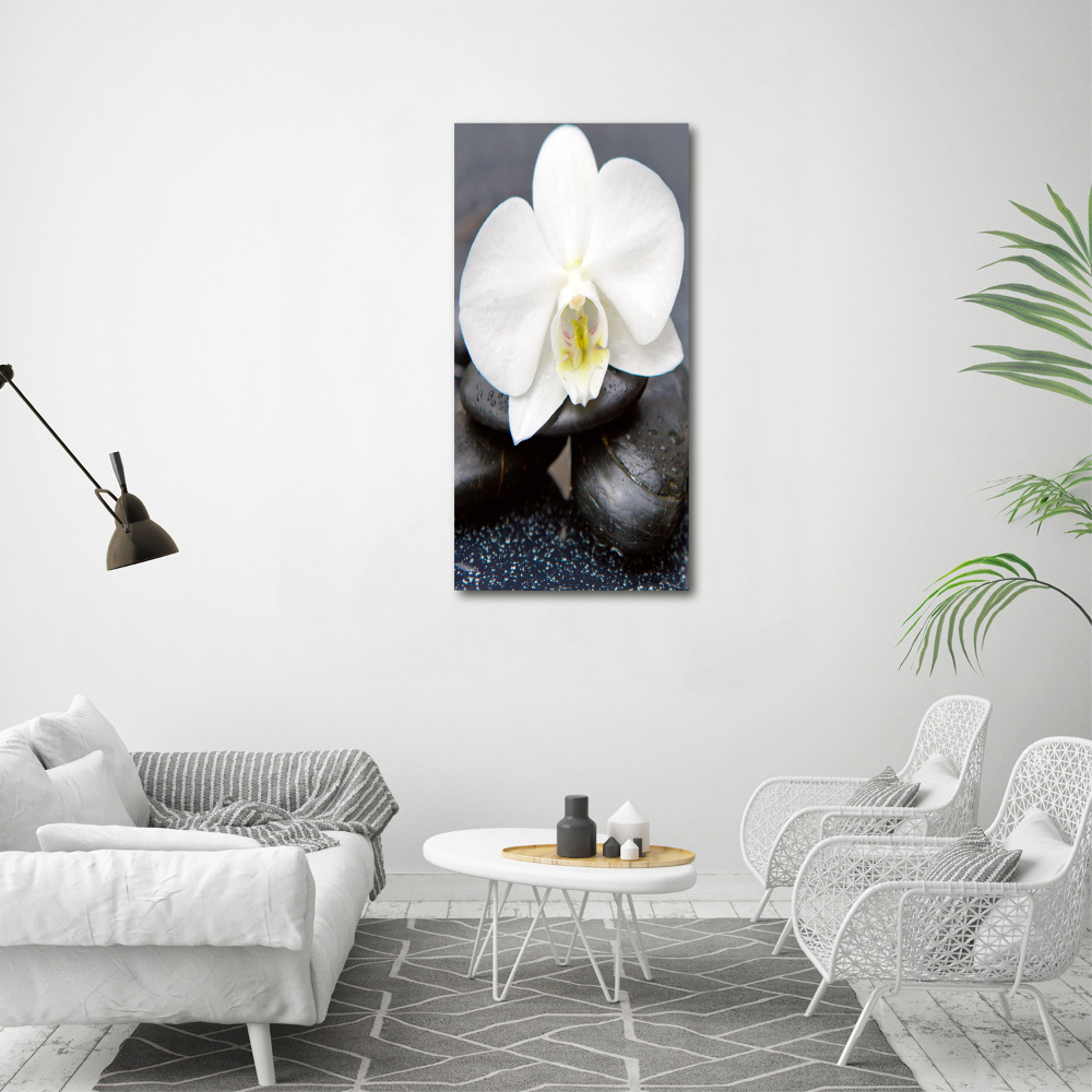 Tableau photo sur toile Orchidée et pierres