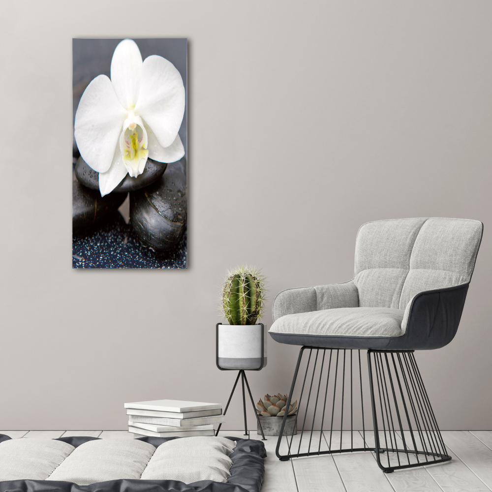 Tableau photo sur toile Orchidée et pierres