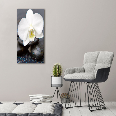 Tableau photo sur toile Orchidée et pierres