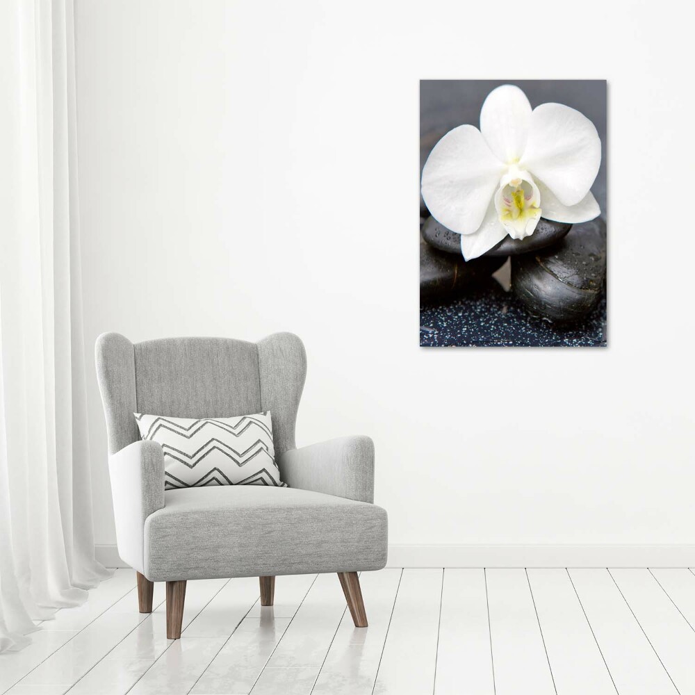 Tableau photo sur toile Orchidée et pierres