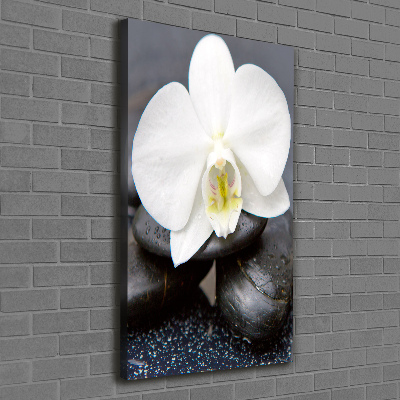 Tableau photo sur toile Orchidée et pierres