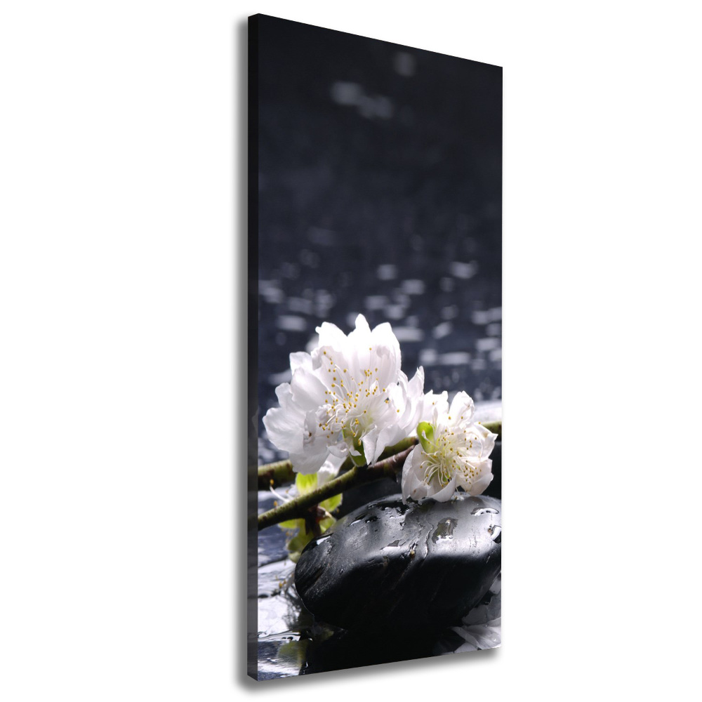 Tableau photo sur toile Fleurs et pierres