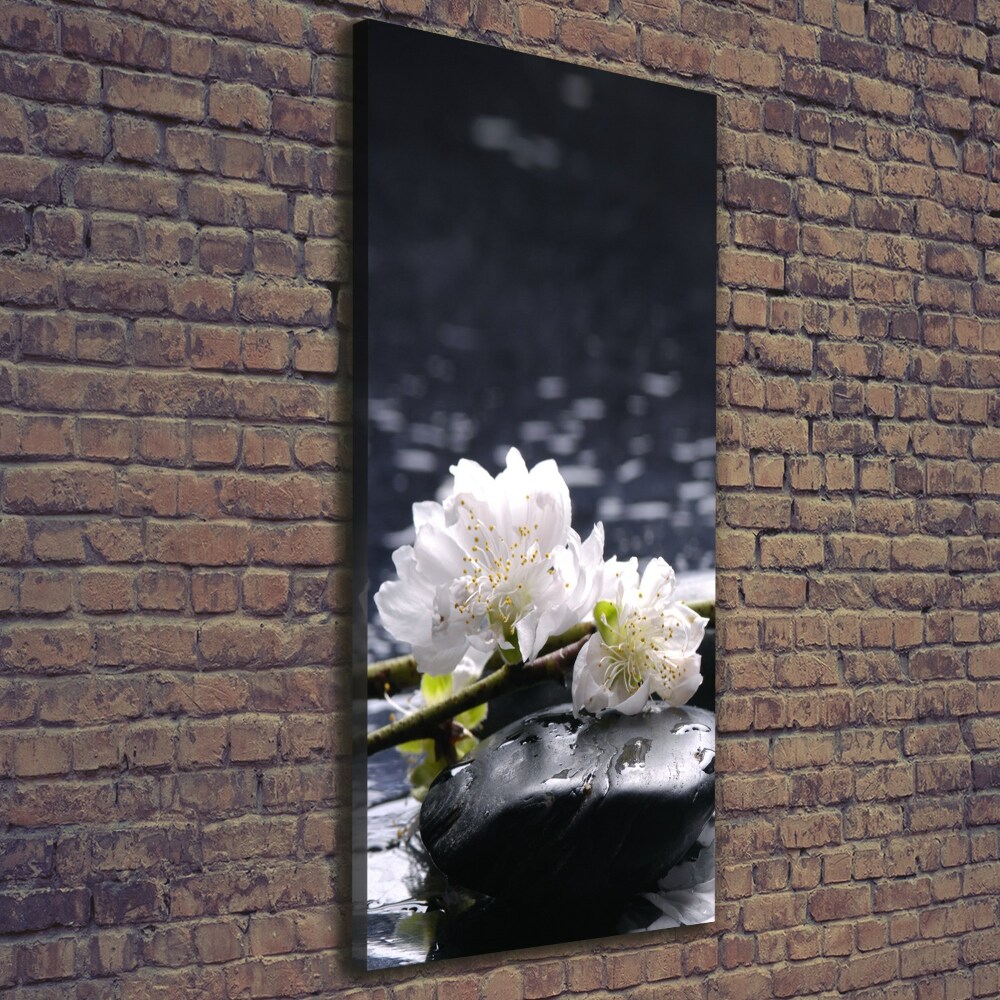 Tableau photo sur toile Fleurs et pierres