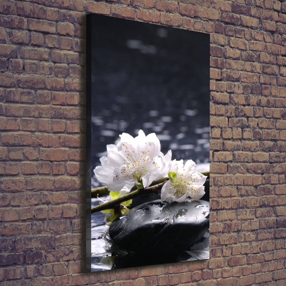 Tableau photo sur toile Fleurs et pierres