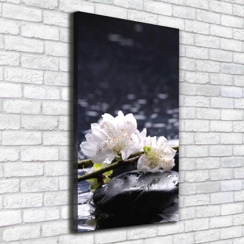 Tableau photo sur toile Fleurs et pierres