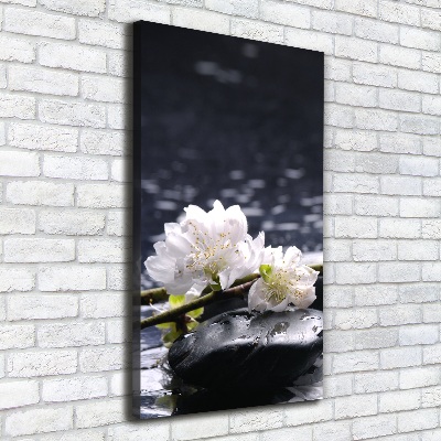 Tableau photo sur toile Fleurs et pierres