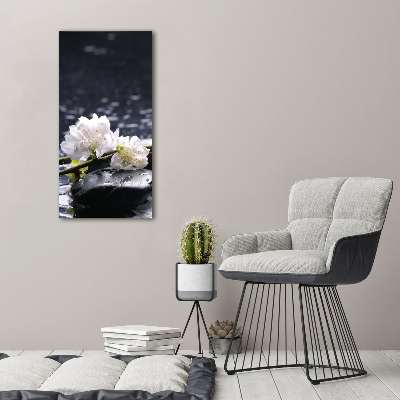 Tableau photo sur toile Fleurs et pierres