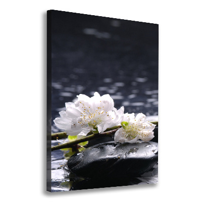 Tableau photo sur toile Fleurs et pierres