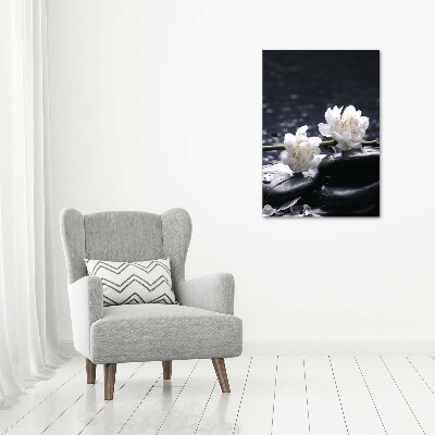 Tableau photo sur toile Fleurs et pierres