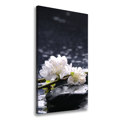 Tableau photo sur toile Fleurs et pierres