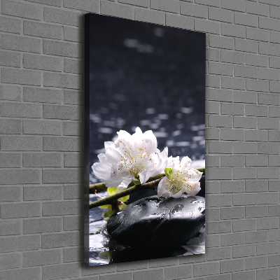 Tableau photo sur toile Fleurs et pierres