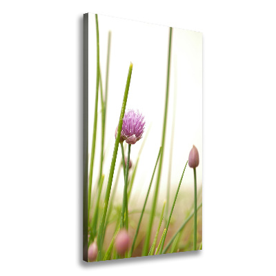 Tableau photo sur toile Fleur de ciboulette