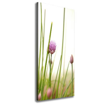 Tableau photo sur toile Fleur de ciboulette