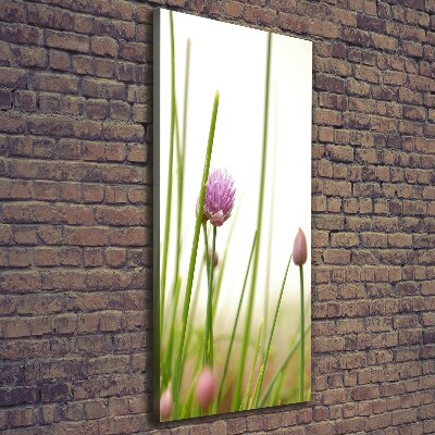 Tableau photo sur toile Fleur de ciboulette