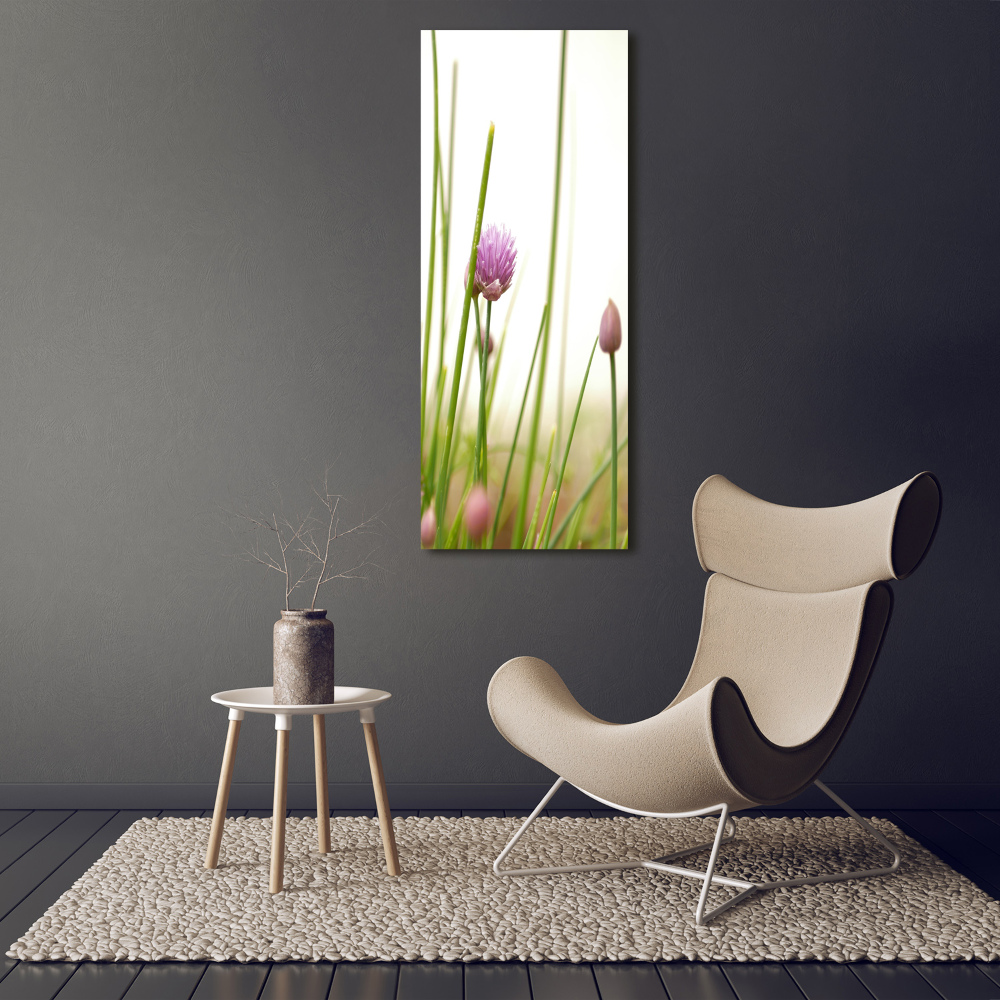 Tableau photo sur toile Fleur de ciboulette