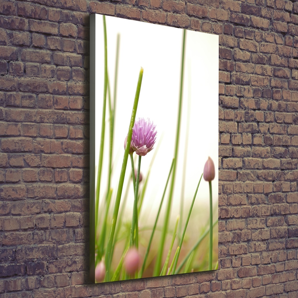 Tableau photo sur toile Fleur de ciboulette