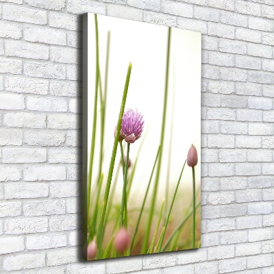 Tableau photo sur toile Fleur de ciboulette