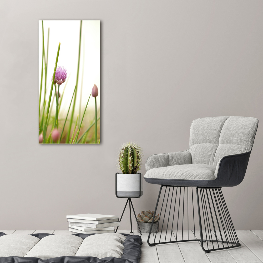 Tableau photo sur toile Fleur de ciboulette