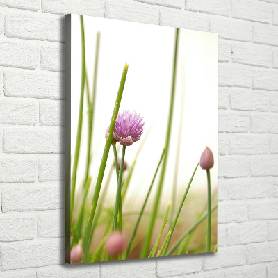 Tableau photo sur toile Fleur de ciboulette