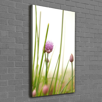 Tableau photo sur toile Fleur de ciboulette