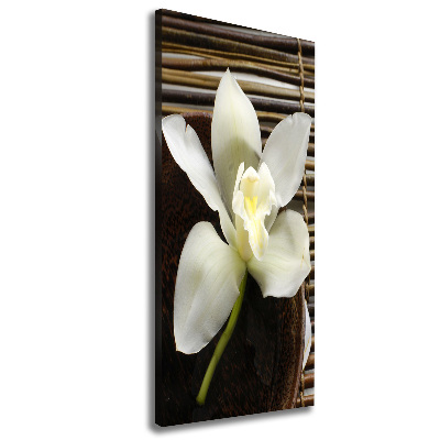 Tableau imprimé sur toile Orchidée plante