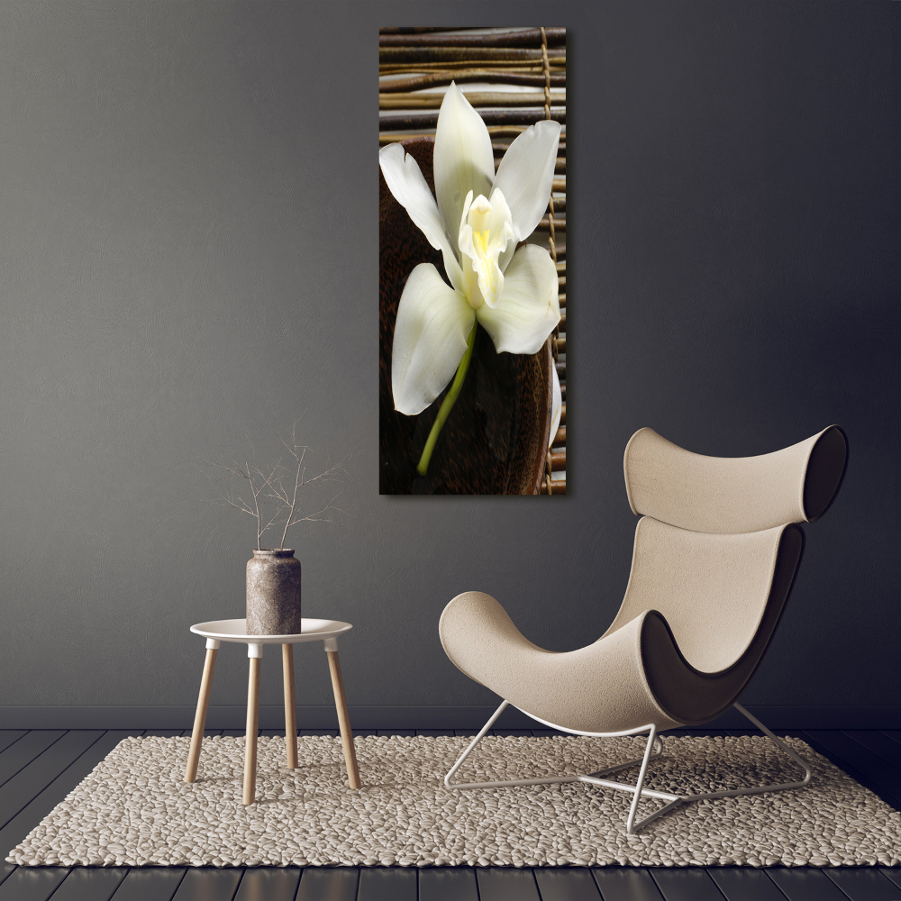 Tableau imprimé sur toile Orchidée plante