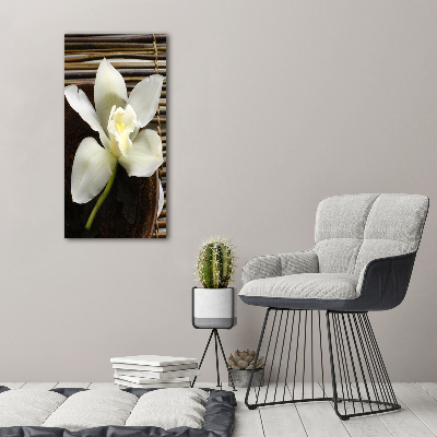 Tableau imprimé sur toile Orchidée plante