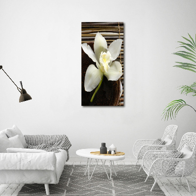 Tableau imprimé sur toile Orchidée plante