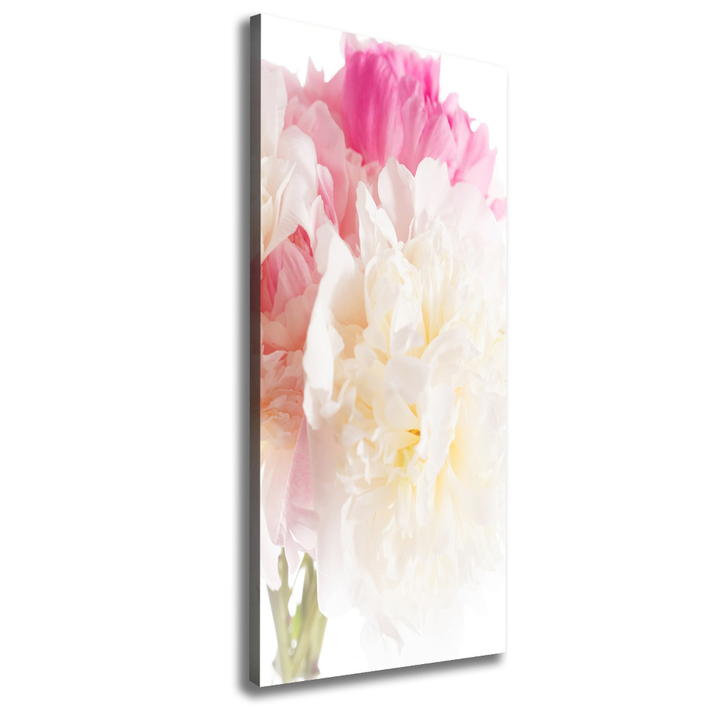 Tableau sur toile Pivoine