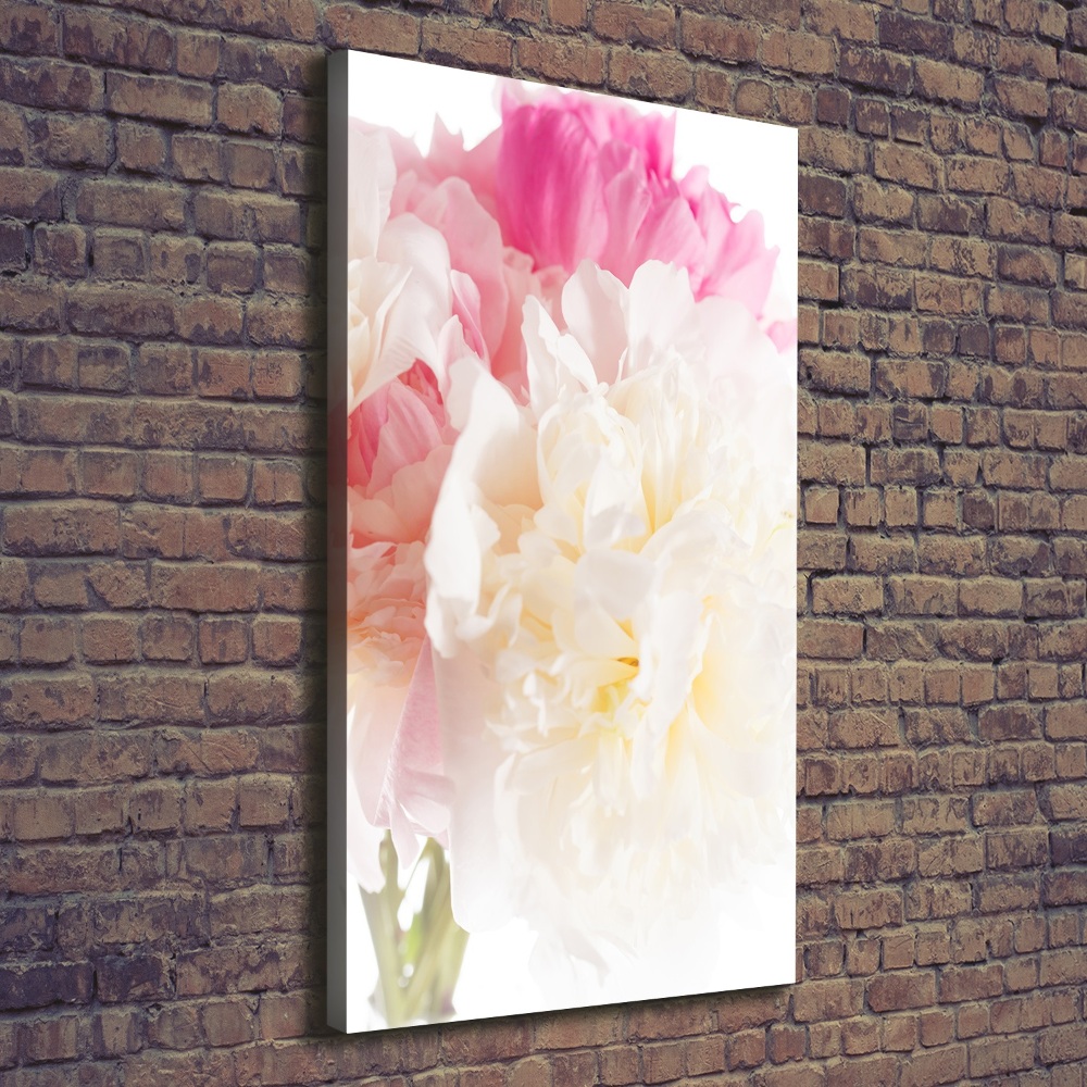 Tableau sur toile Pivoine