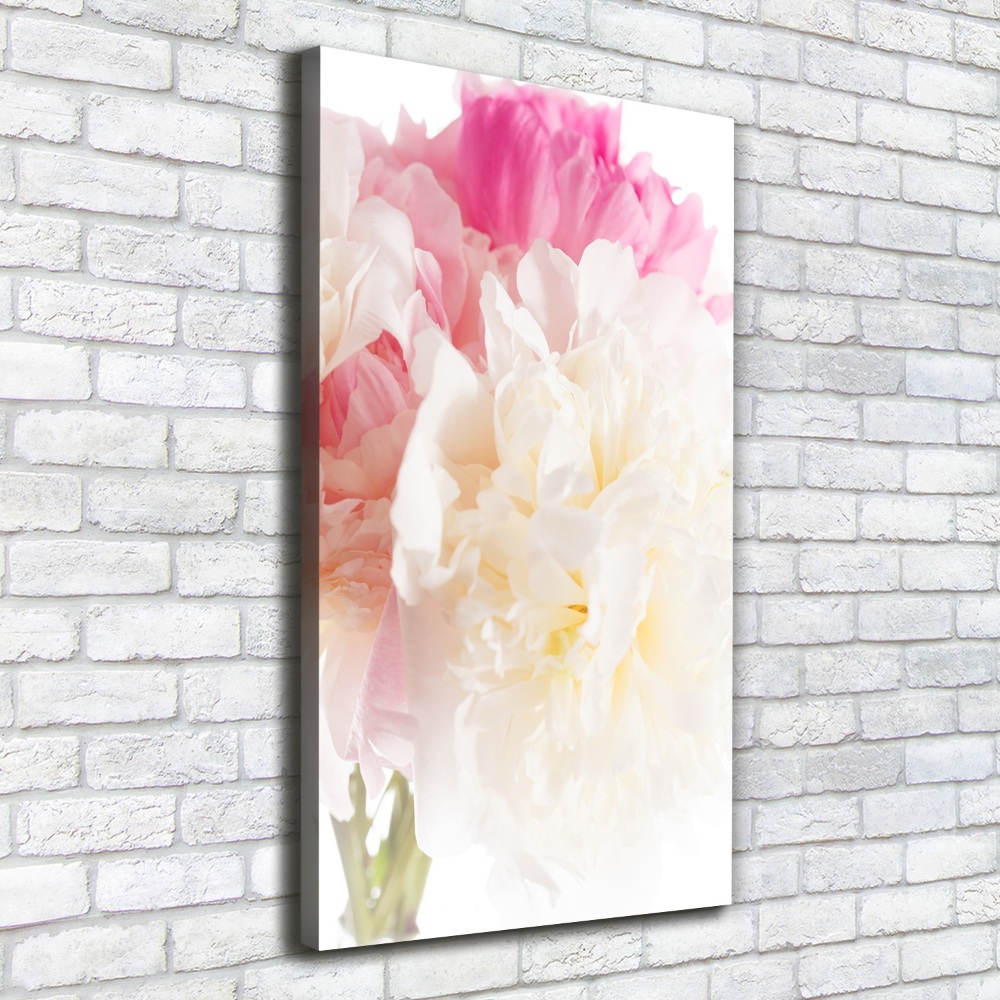 Tableau sur toile Pivoine