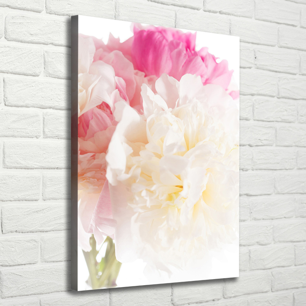 Tableau sur toile Pivoine