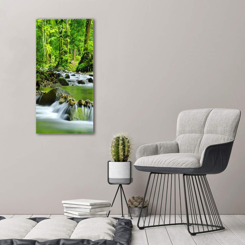 Tableau mural sur toile Ruisseau de montagne