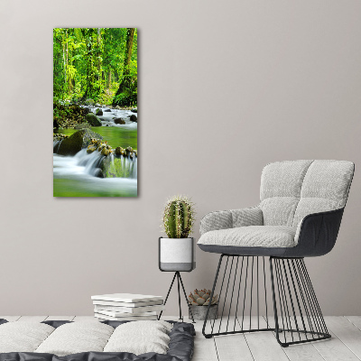 Tableau mural sur toile Ruisseau de montagne