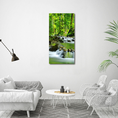 Tableau mural sur toile Ruisseau de montagne